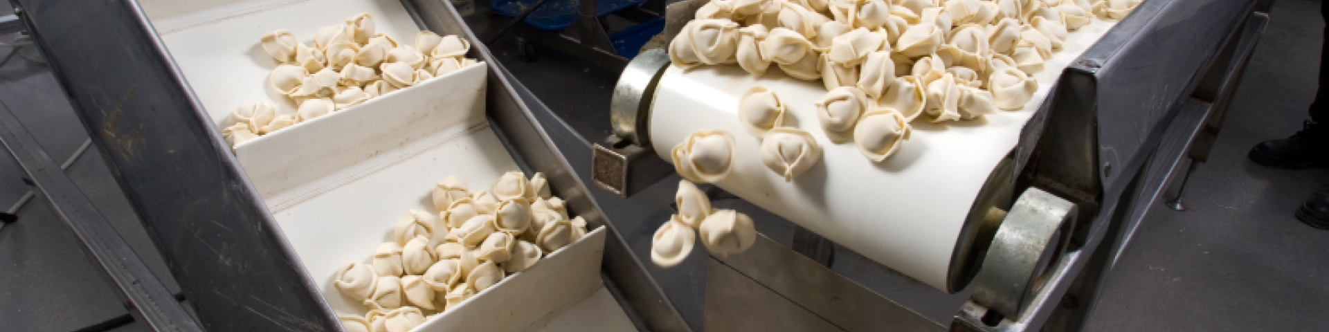 Food on a conveyer belt in a food processing facility