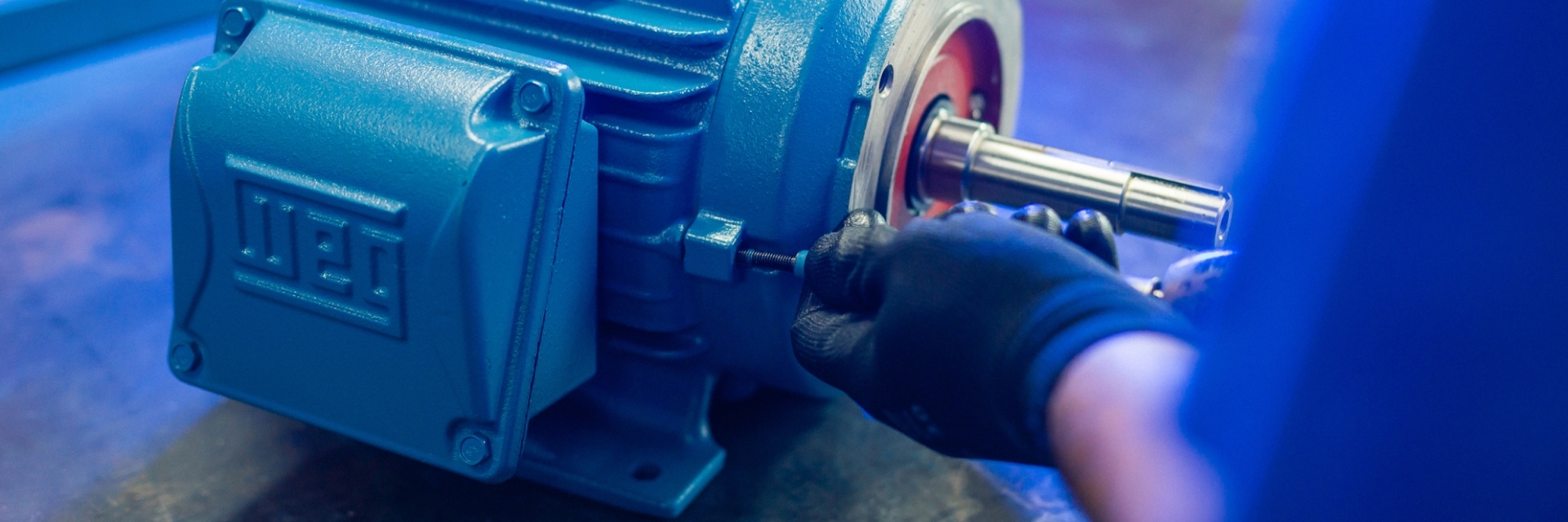 WEG Motor