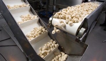 Food on a conveyer belt in a food processing facility